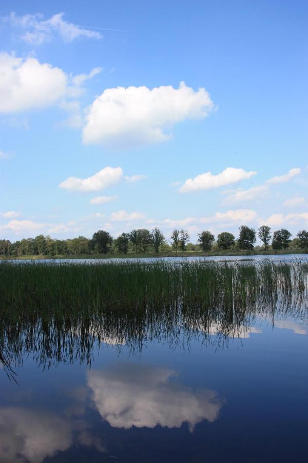 Vakantiehuis Appelvink, Toplocatie In Bosrijke Omgeving Oisterwijk Ngoại thất bức ảnh