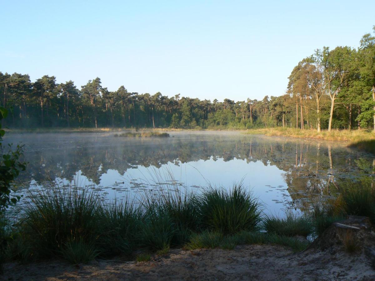 Vakantiehuis Appelvink, Toplocatie In Bosrijke Omgeving Oisterwijk Ngoại thất bức ảnh