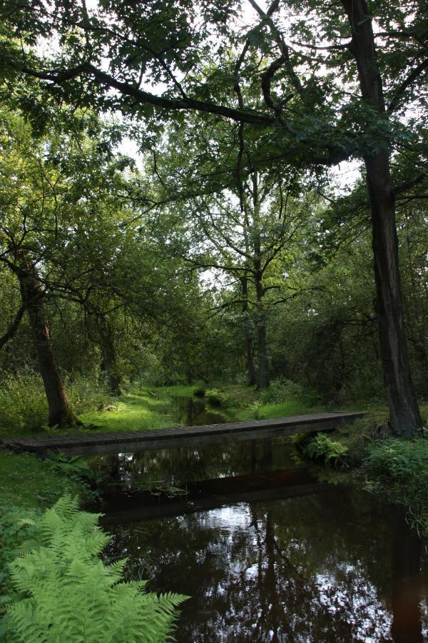 Vakantiehuis Appelvink, Toplocatie In Bosrijke Omgeving Oisterwijk Ngoại thất bức ảnh