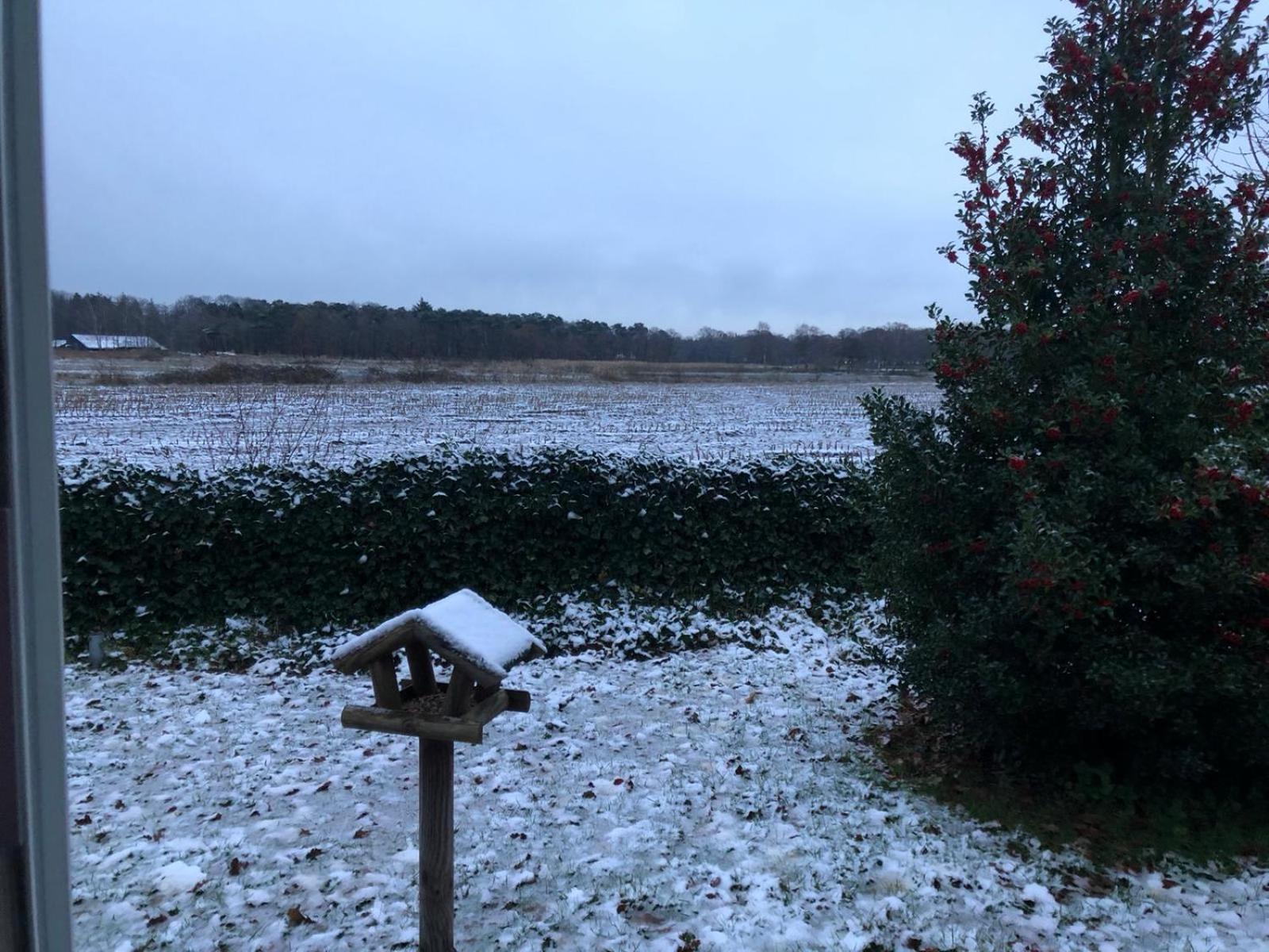 Vakantiehuis Appelvink, Toplocatie In Bosrijke Omgeving Oisterwijk Ngoại thất bức ảnh